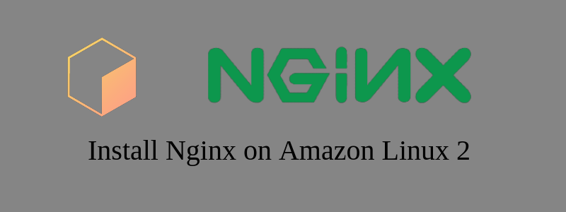 How to install Nginx on AWS EC2 Amazon Linux 2 instance