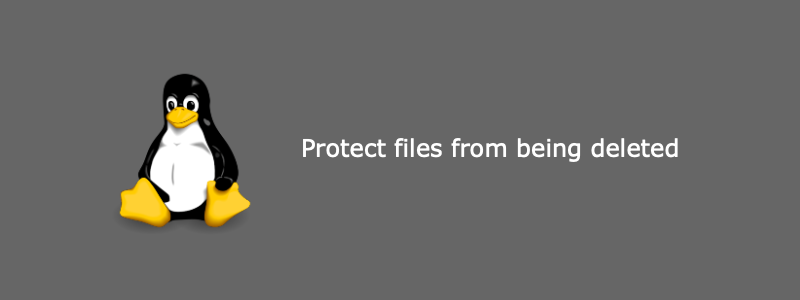 Protect files from being deleted in Linux