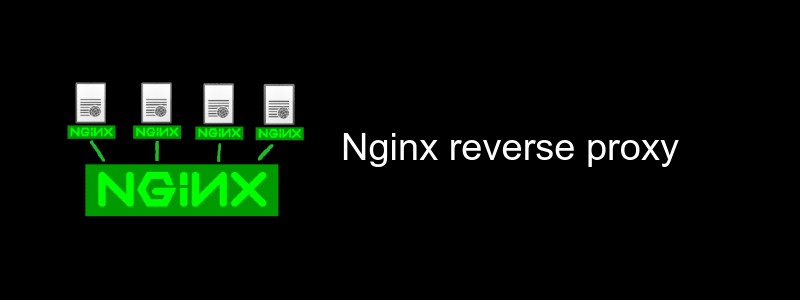 How to set up Nginx reverse proxy for your application